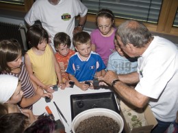  Kinder malen Kakteen 2009